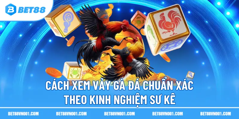 cach xem vay ga da chuan xac theo kinh nghiem su ke Cách Xem Vảy Gà Đá Chuẩn Xác Theo Kinh Nghiệm Sư Kê Trên BET88