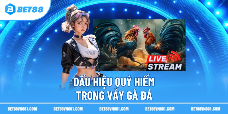  Dấu hiệu quý hiếm trong vảy gà đá